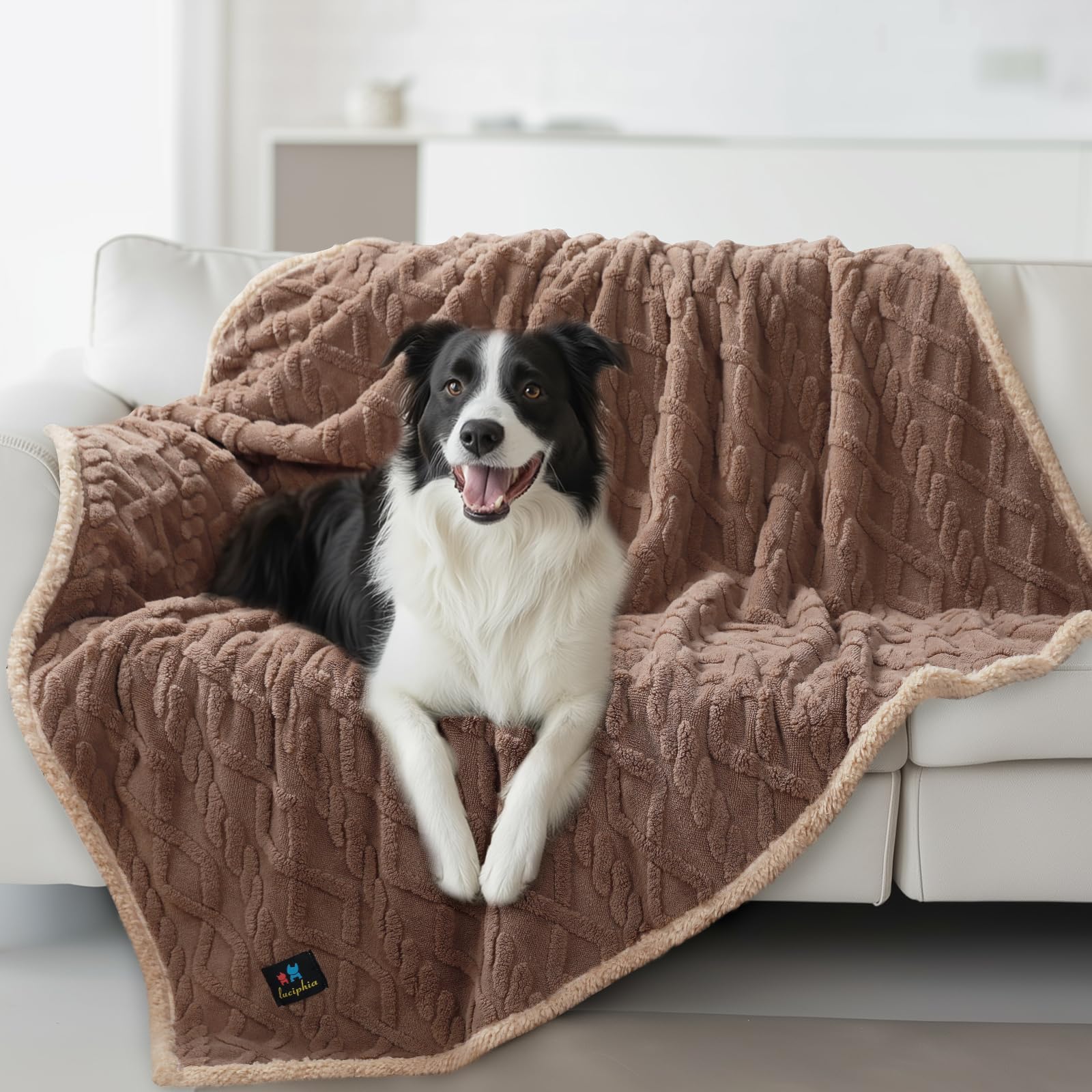 Luciphia waterproof pet blanket on a sofa protecting from spills and fur