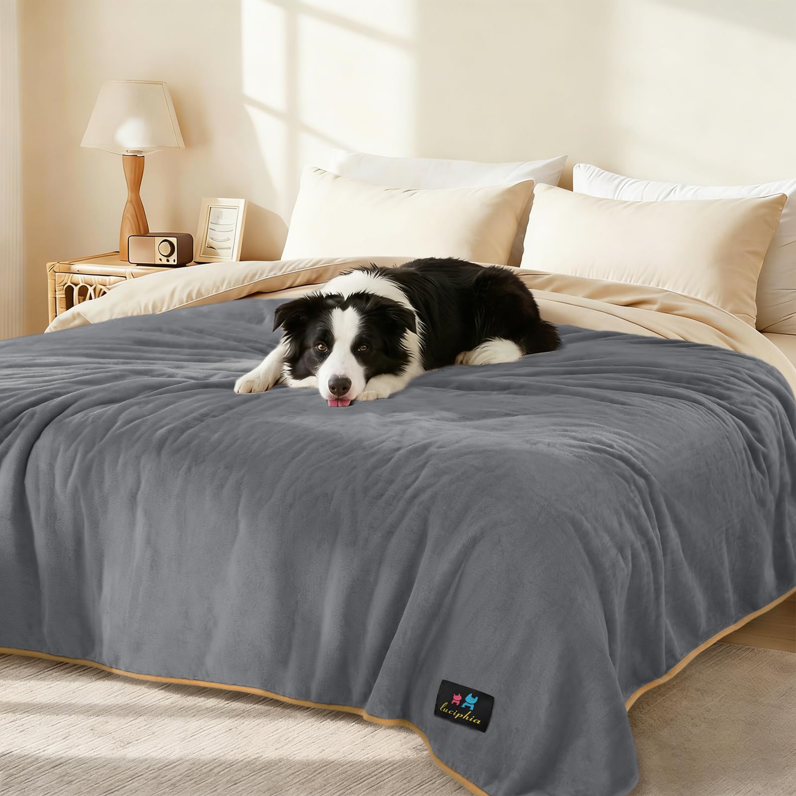 Luciphia waterproof pet blanket on a sofa shields against spills.
