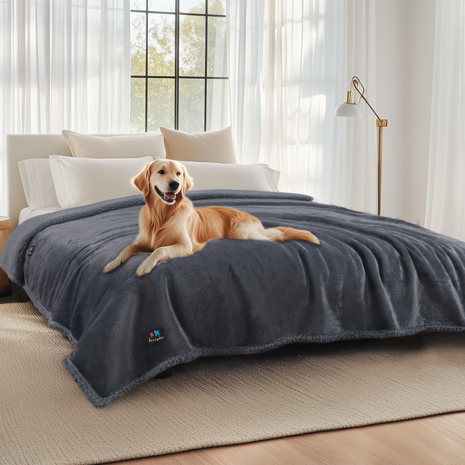 Luciphia waterproof pet blanket on sofa protector, keeps furniture clean from spills.