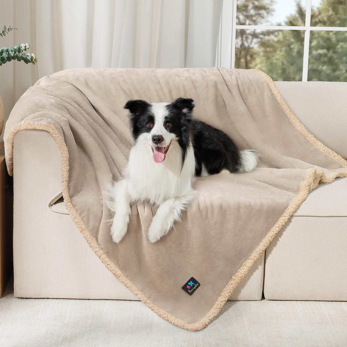 Luciphia waterproof pet blanket on sofa protects against spills and accidents.