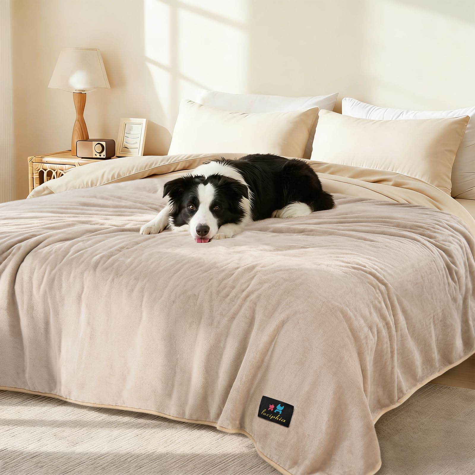 Luciphia waterproof pet blanket on a sofa protects from spills and pet hair.