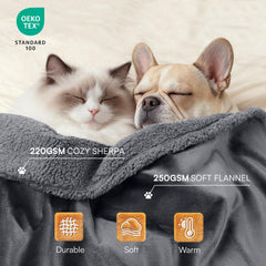 Luciphia waterproof pet blanket soft fleece side in use on sofa.