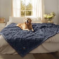 Luciphia waterproof pet blanket on sofa protecting against spills and fur