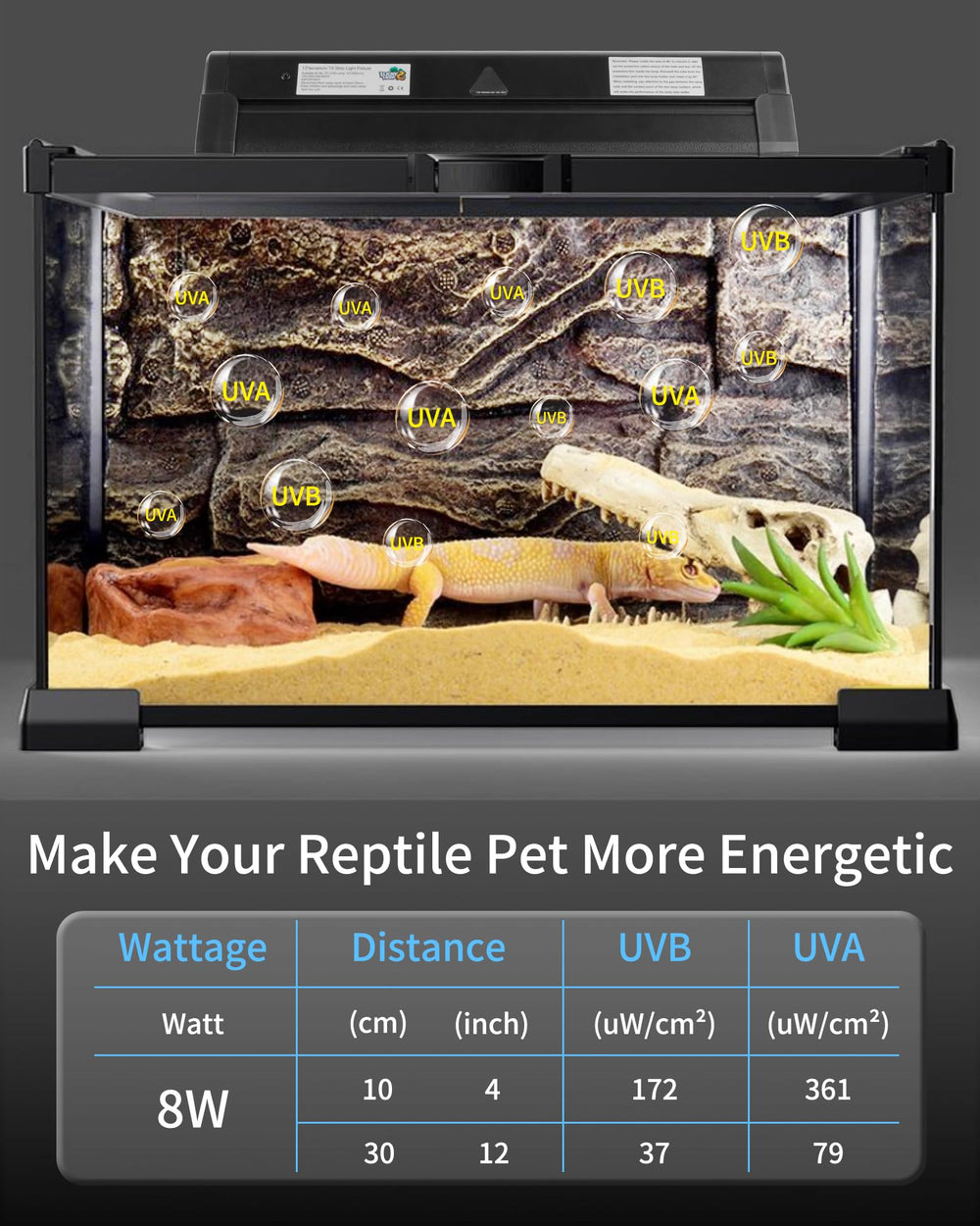 LUCKY HERP T5 bearded dragon setup showcases bright, even illumination.