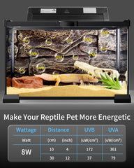 LUCKY HERP T5 bearded dragon setup showcases bright, even illumination.