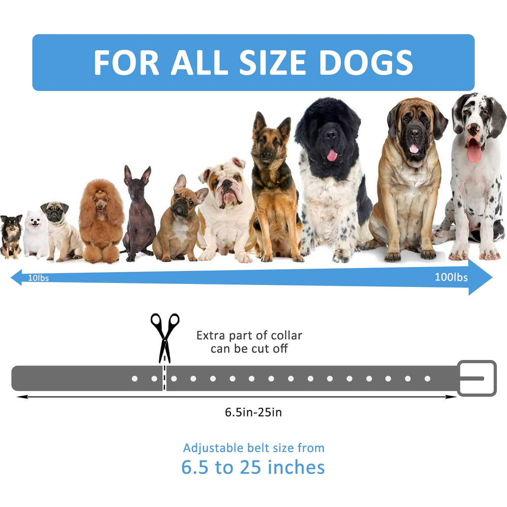 LuckinPET replacement collar strap D-ring for reliable leash attachment during training