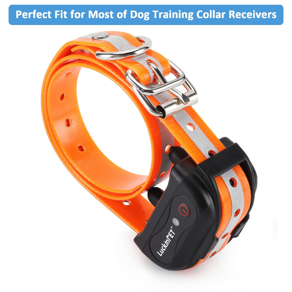LuckinPET collar strap featuring a secure metal buckle