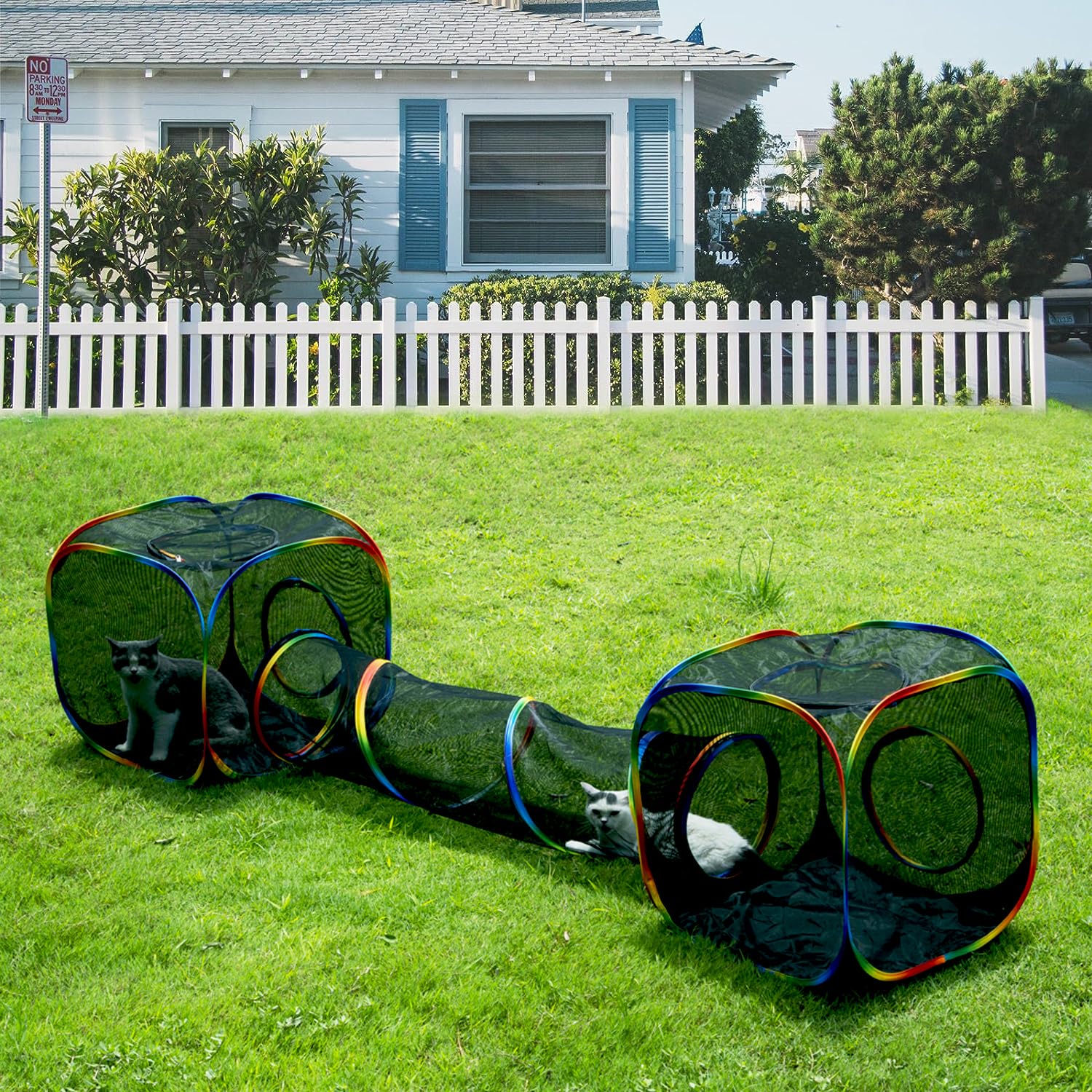 LUCKITTY Outdoor Rainbow Cat Enclosures Playground offers a safe, sunny play area for indoor cats.