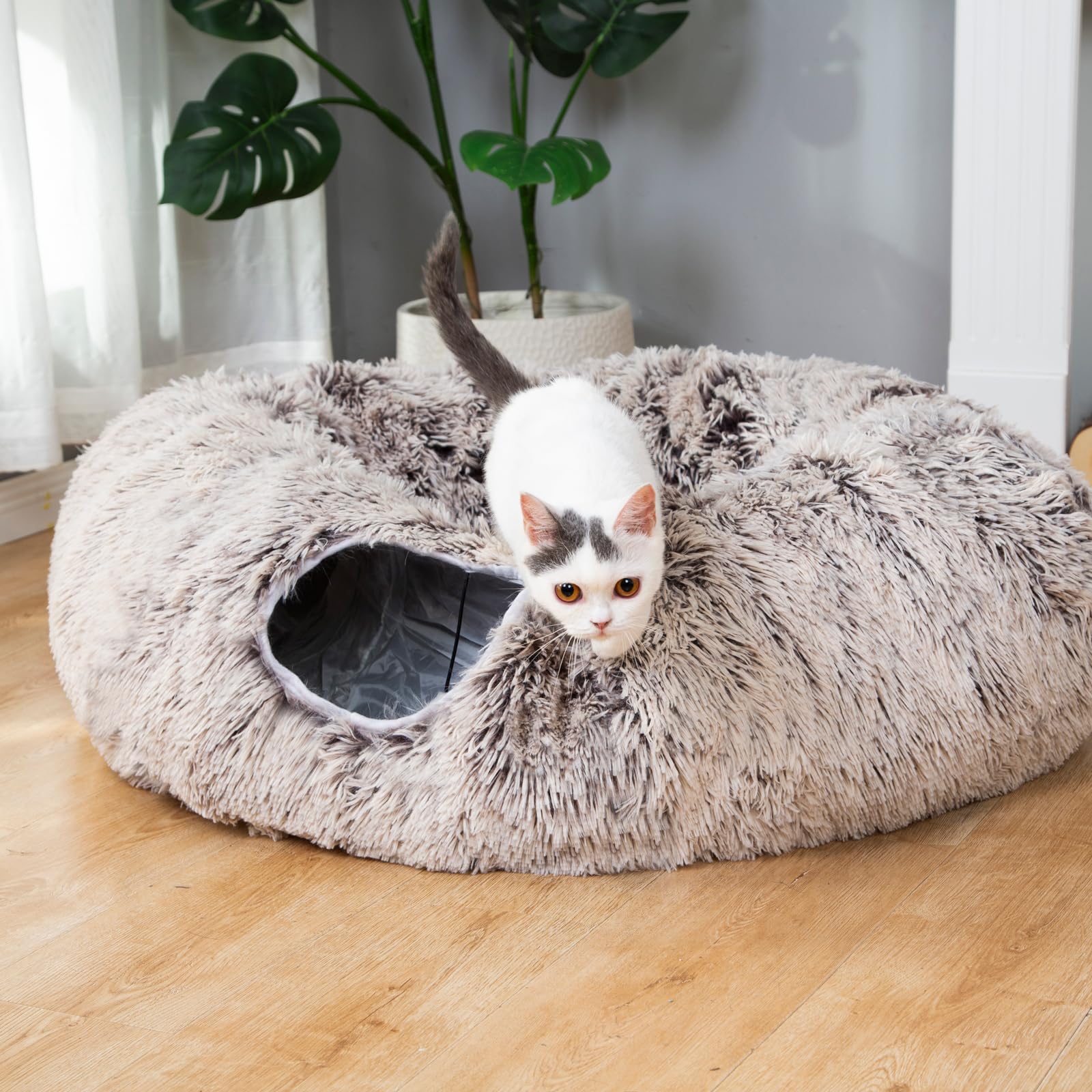 LUCKITTY removable cushion for easy washing and quick refresh.