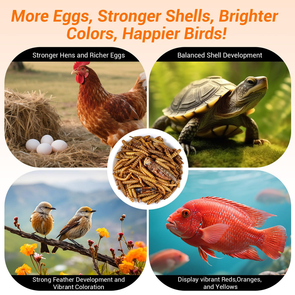 LuckyQworms insect blend for reptiles and hedgehogs enriching meals