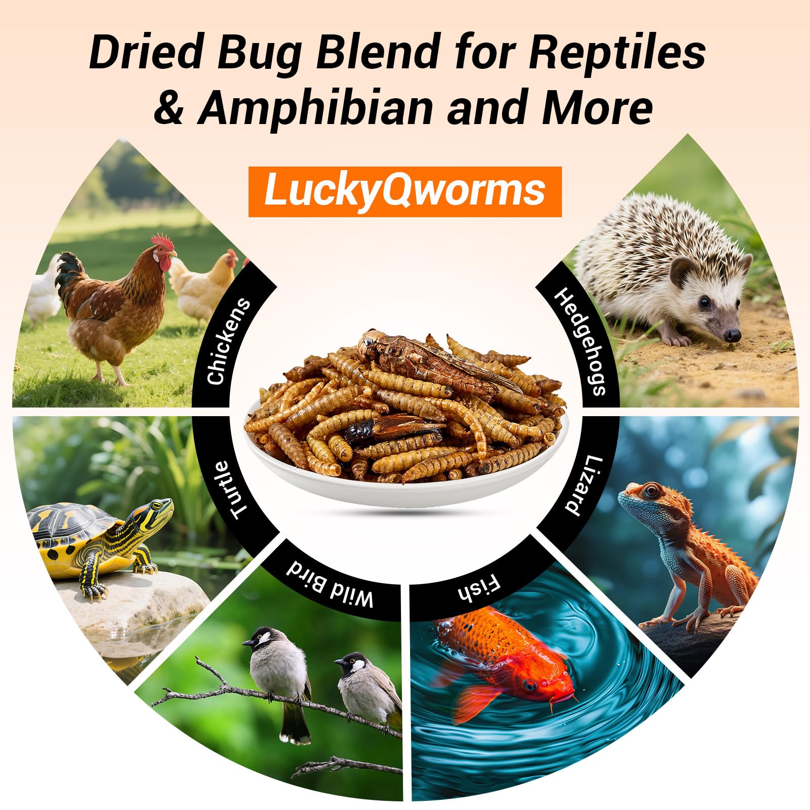 LuckyQworms resealable pouch in kitchen for freshness and easy storage