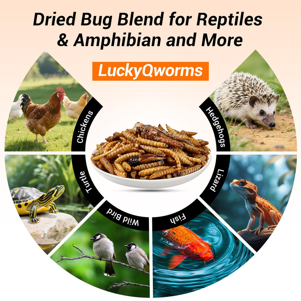 LuckyQworms resealable pouch in kitchen for freshness and easy storage