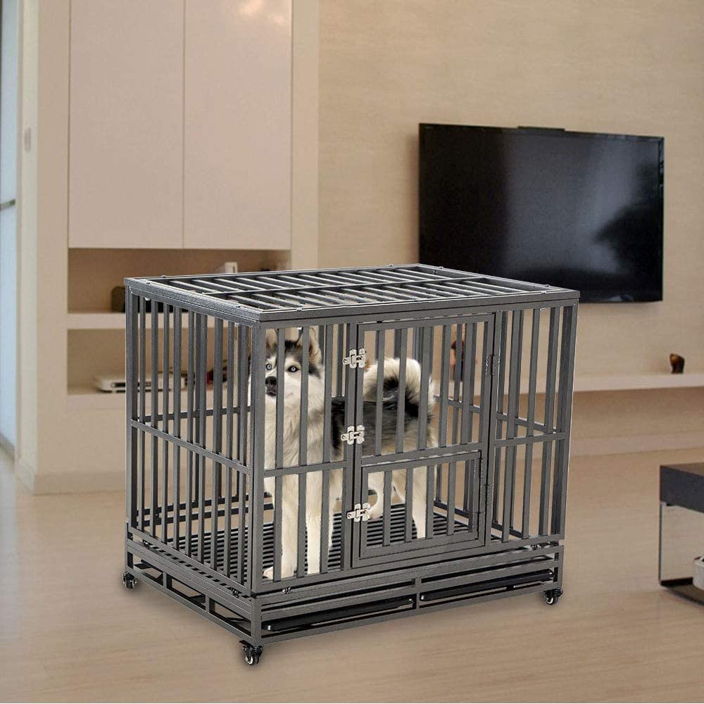 LUCKUP in-use scene with dog inside a spacious kennel