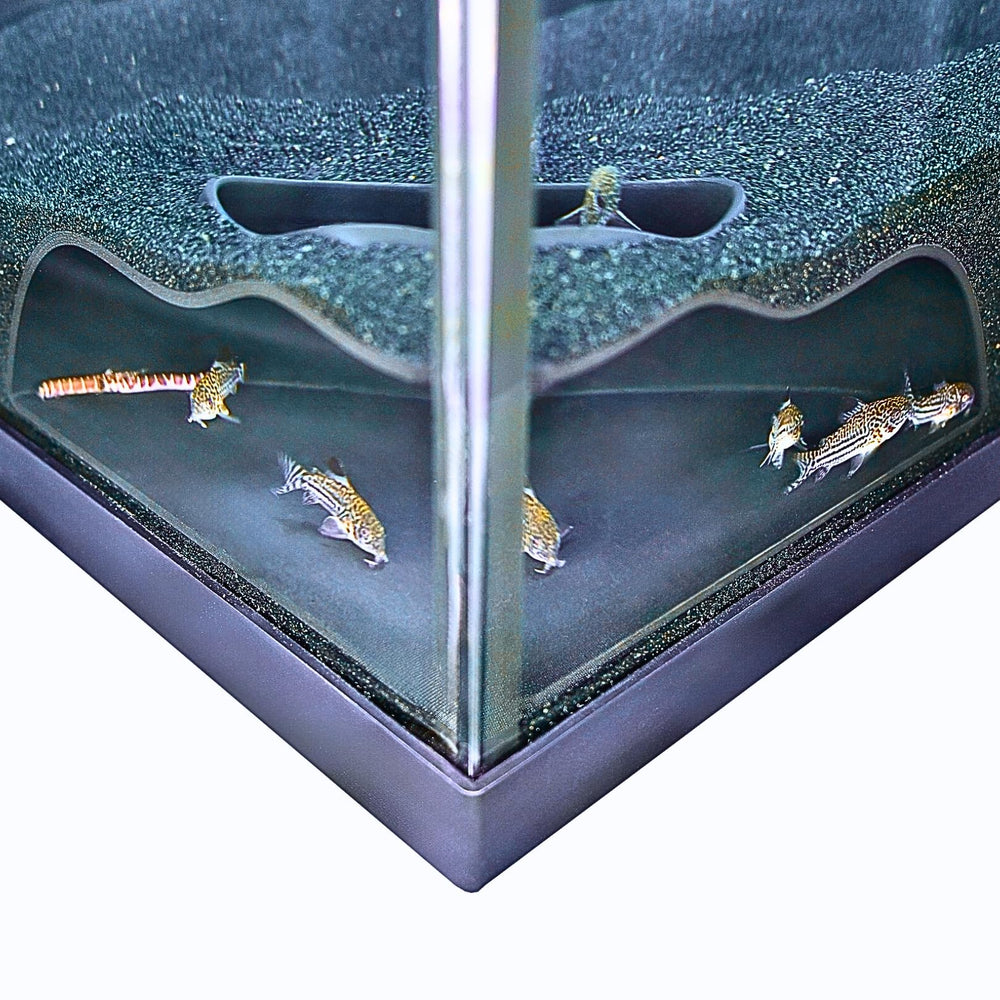 Lucky Critter Underground Corner Cave in 6in size provides a natural hiding spot for tank residents.