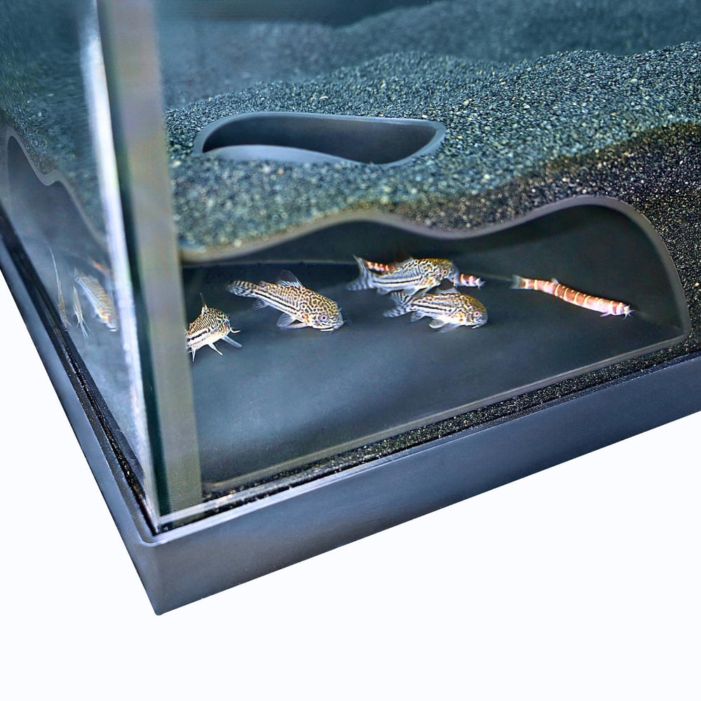 Lucky Critter cave for Pleco, Loach, and other fish to rest and explore.