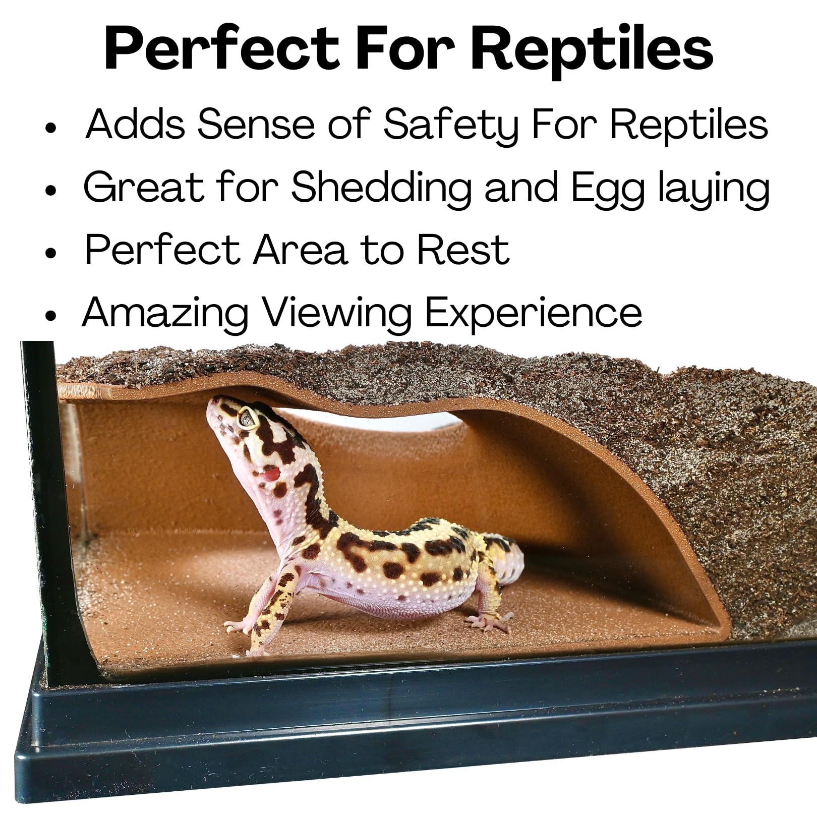 Lucky Critter natural curve reptile cave hide offers a safe, curved shelter for lounging.