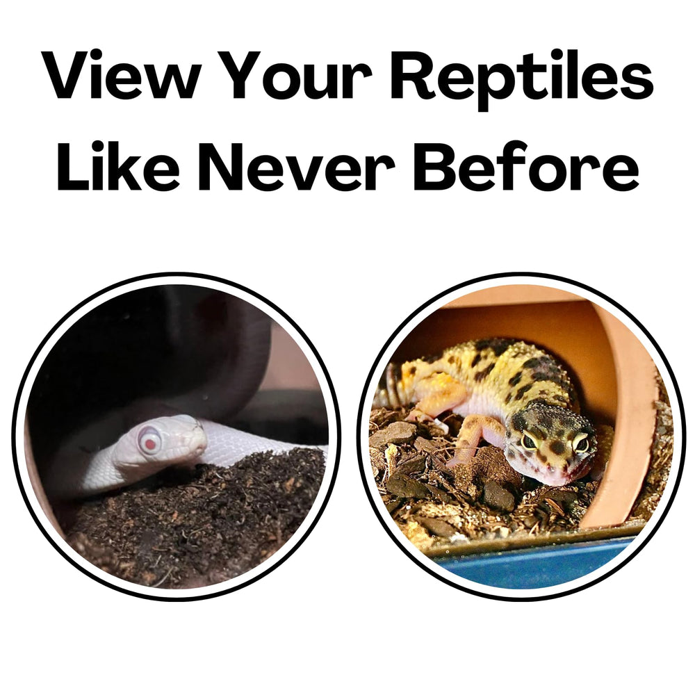 Lucky Critter Reptile Corner Underground Cave assembly in a terrarium for easy setup.