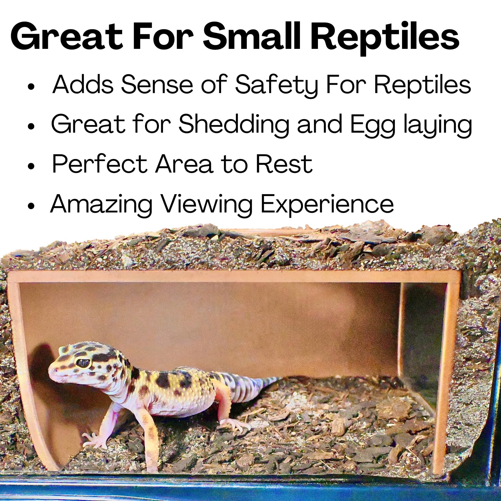 Lucky Critter Reptile Corner Underground Cave texture closeup emphasizes durable, reptile-safe plastic.