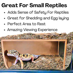 Lucky Critter Reptile Corner Underground Cave texture closeup emphasizes durable, reptile-safe plastic.