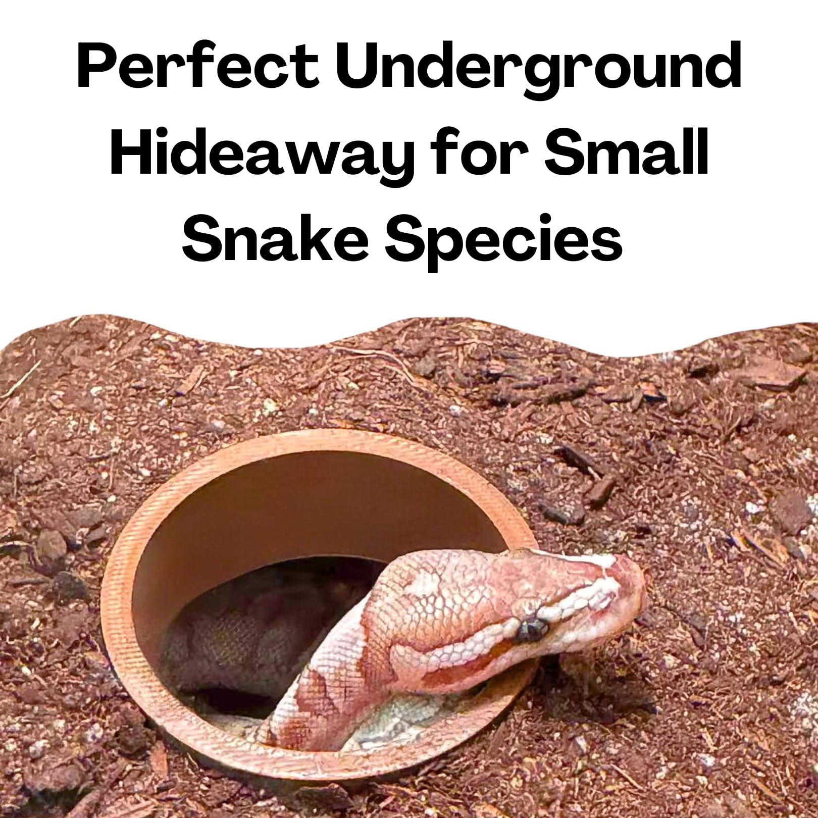 Lucky Critter Reptile Corner Underground Cave dimensions 6x6x3 shown in tank.