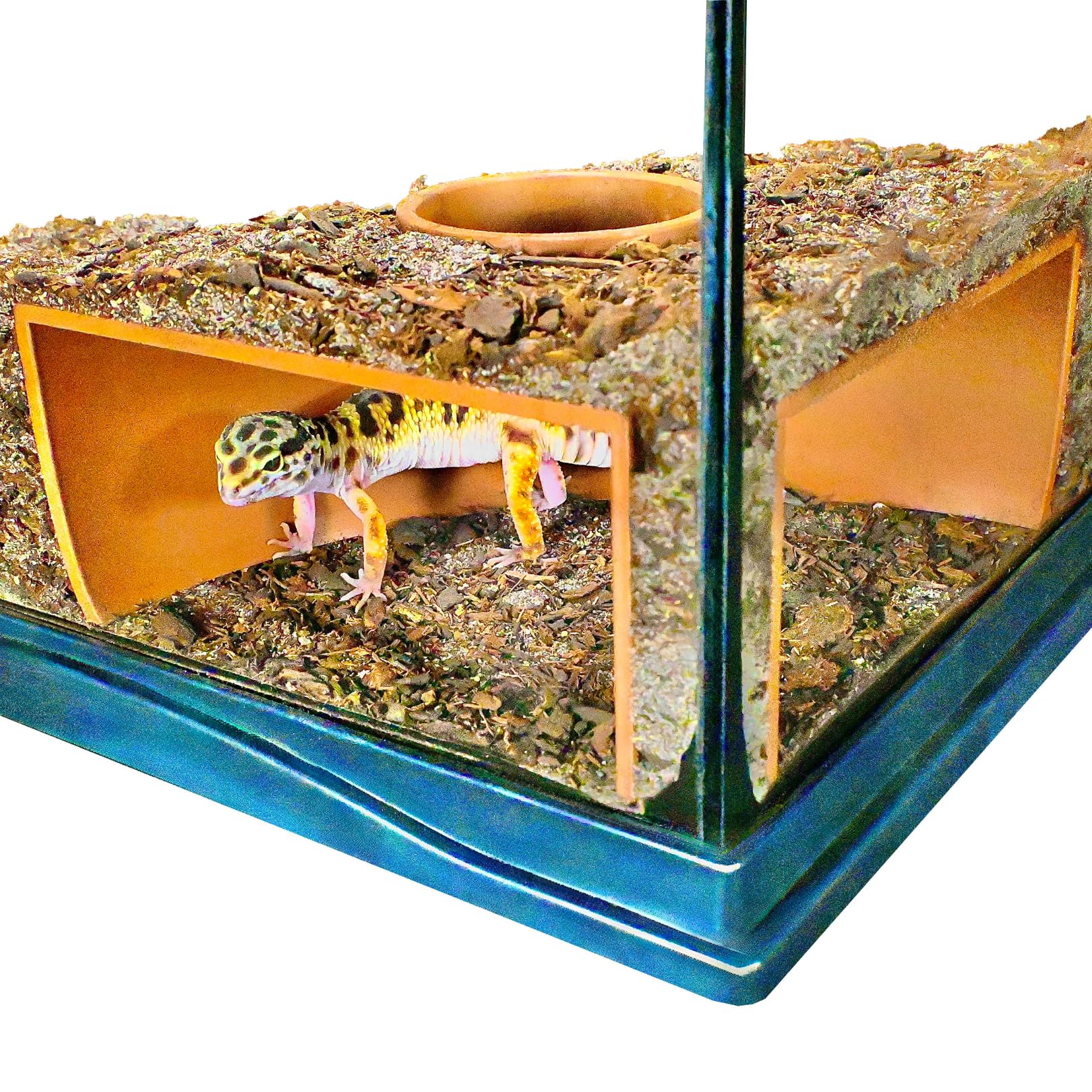 Lucky Critter Reptile Corner Underground Cave front view reveals a private viewing hide.