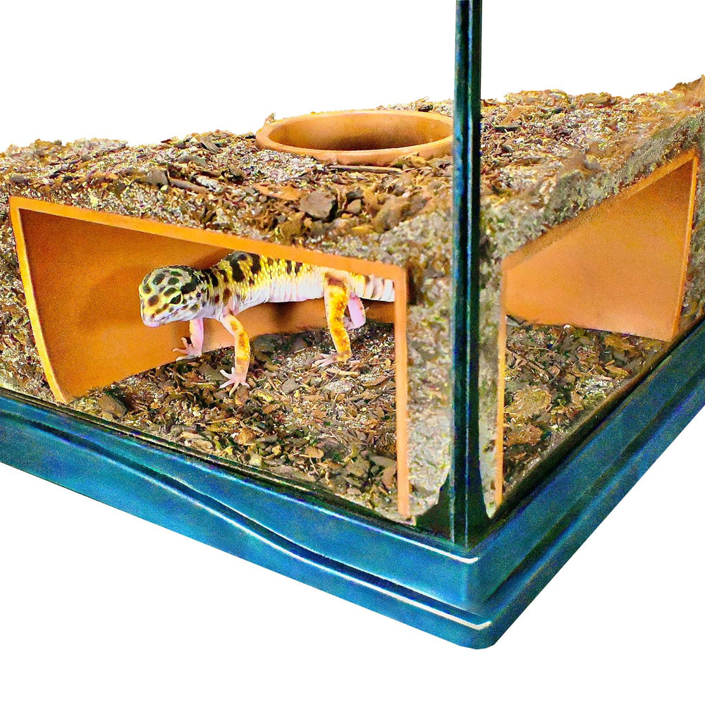 Lucky Critter Reptile Corner Underground Cave front view reveals a private viewing hide.