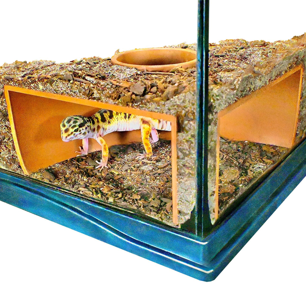 Lucky Critter Reptile Corner Underground Cave front view reveals a private viewing hide.