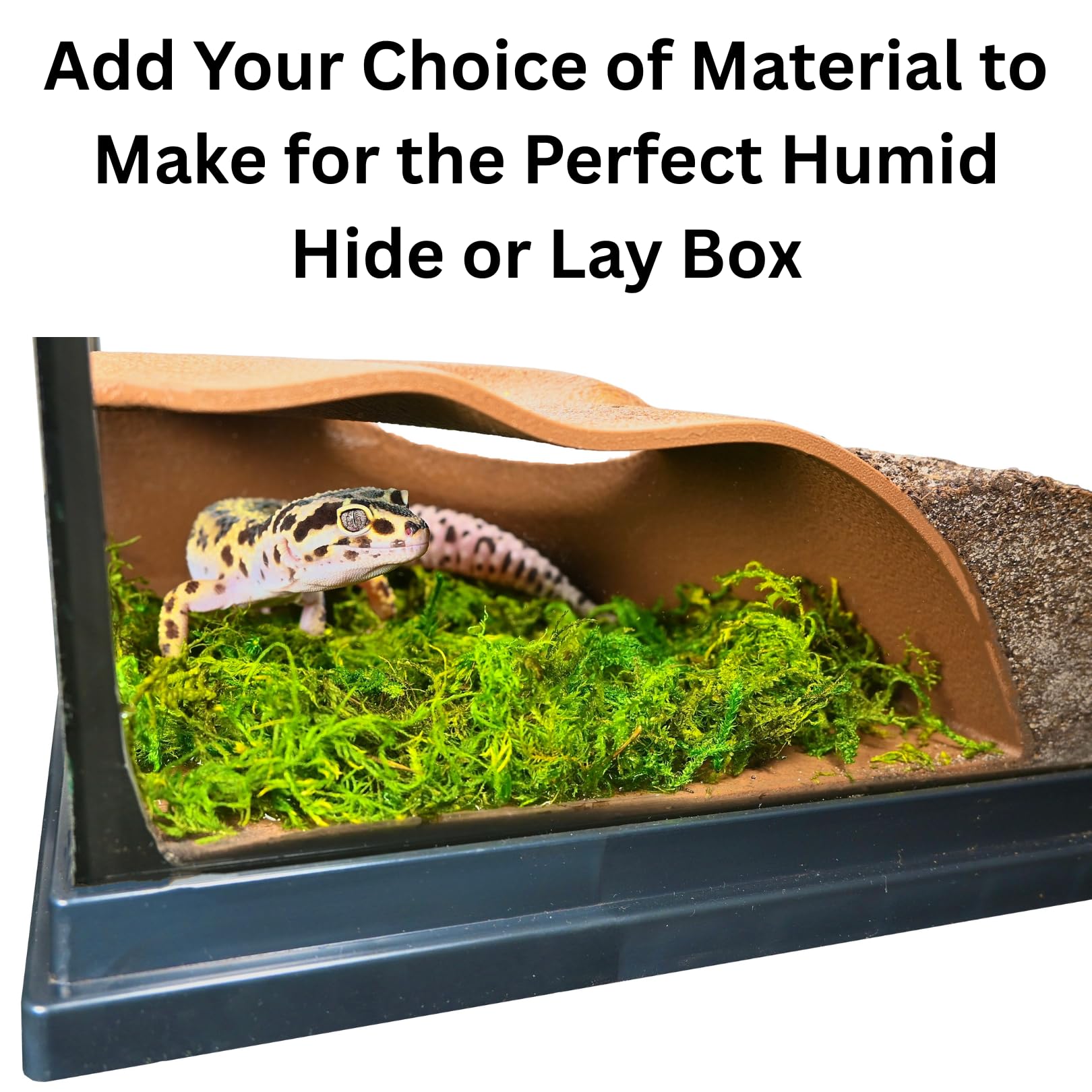 Lucky Critter ultra humid hide reptile cave creates comfortable microclimate near glass.