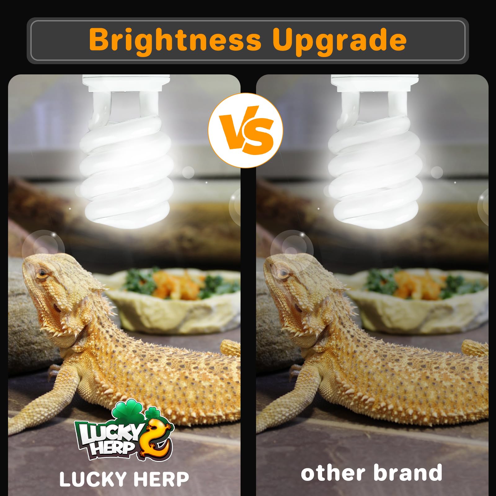 Lucky Herp 23W UVB bulb providing bright, natural light with high color fidelity.
