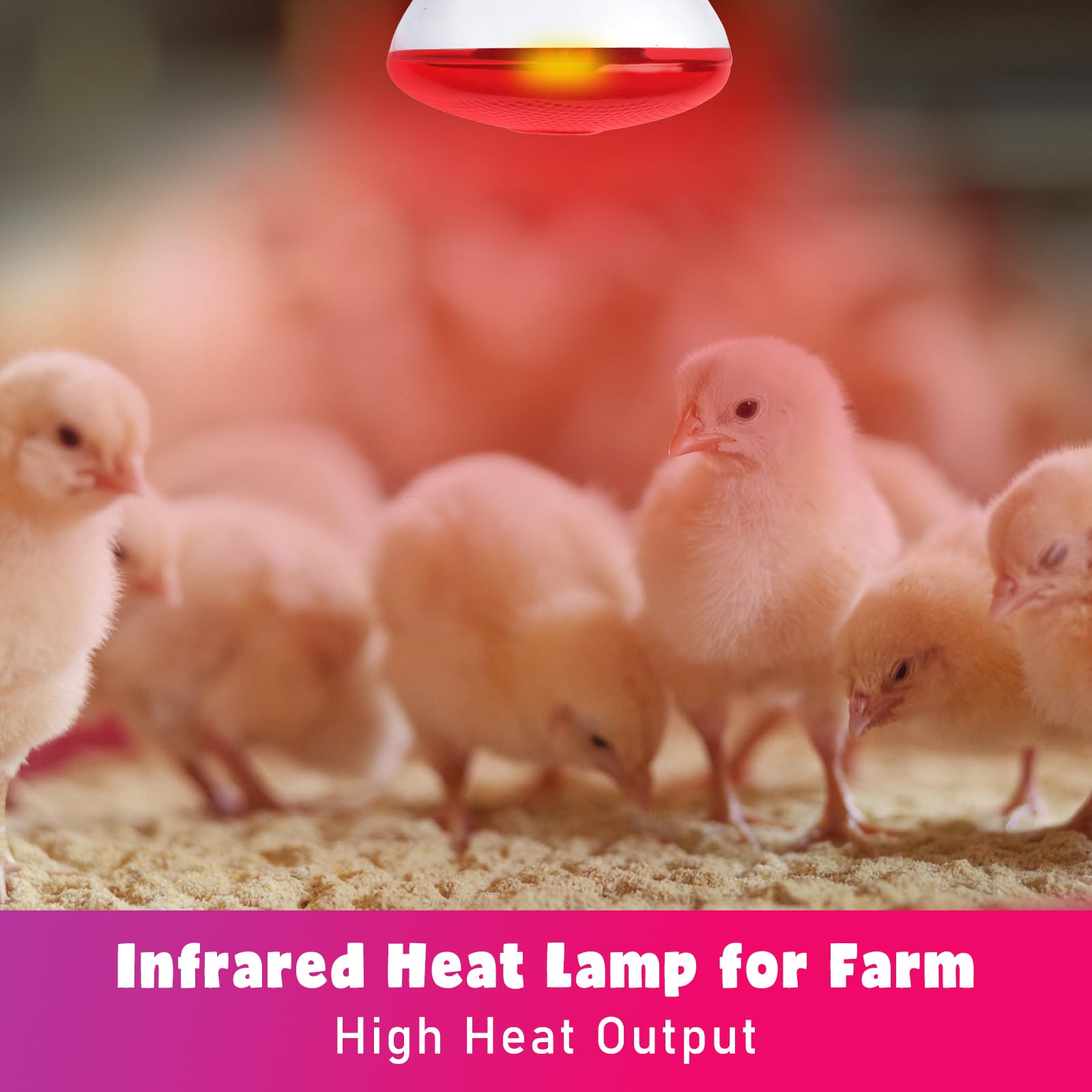 LUCKY HERP 250W infrared bulb with E26 base for reptiles and pets.