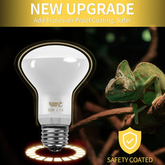 LUCKY HERP 3rd-gen explosion-proof coating for safer reptile lighting
