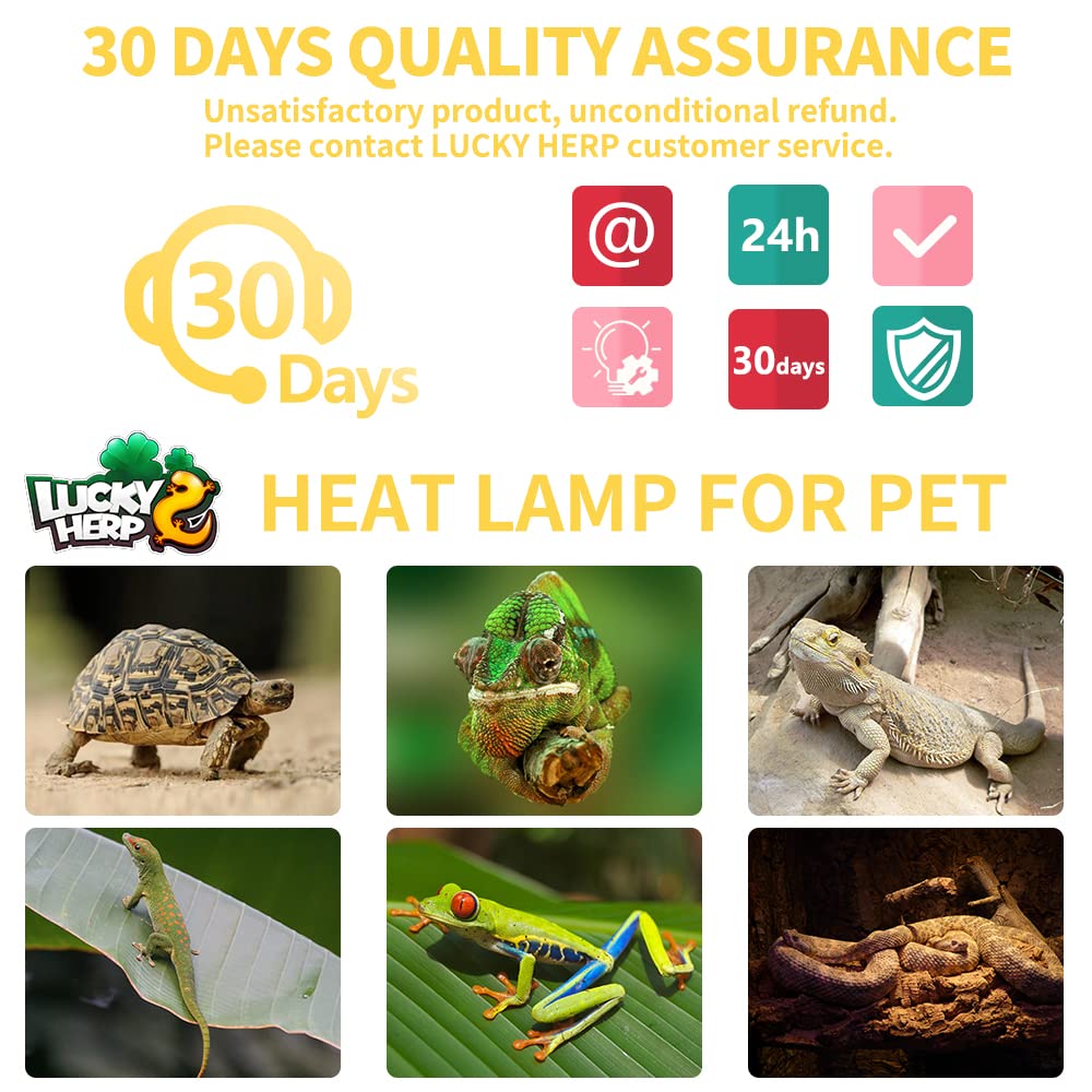 LUCKY HERP 75W lamp with responsive customer service support