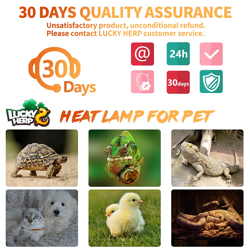 Lucky Herp ceramic heat emitter safe distance use ensures proper pet safety.