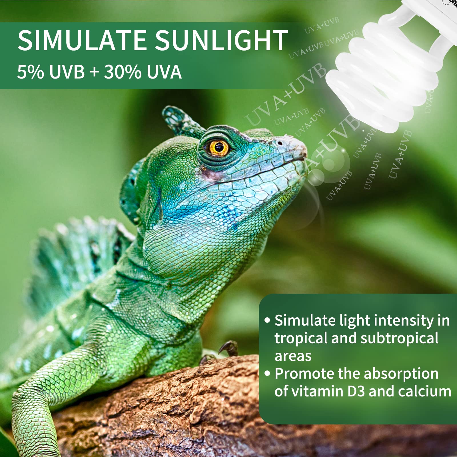 LUCKY HERP compact fluorescent bulb setup for tropical plants and reptiles.
