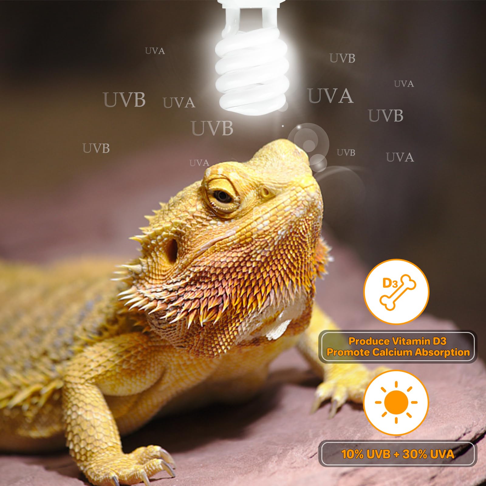 Lucky Herp desert-dwelling reptile bulb fits standard E26 base for easy installation.