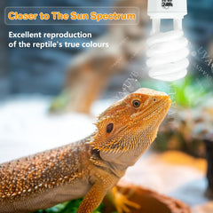 Lucky Herp desert UVB 150 CFL lamp delivering a sun-like spectrum for desert reptiles.