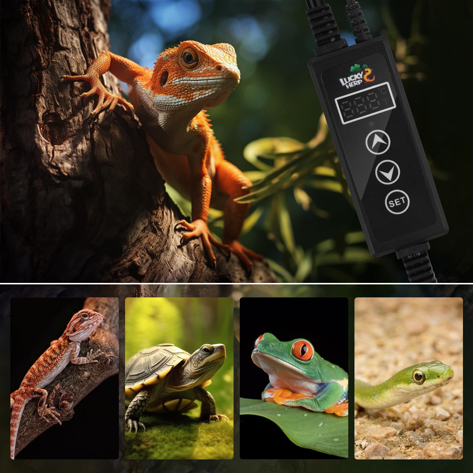 LUCKY HERP safety indicators show LL/HH alerts.