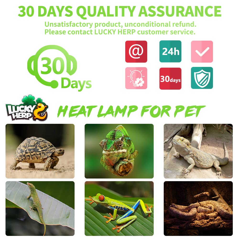 Lucky Herp durable bulb and holder provide steady heat for reptiles.