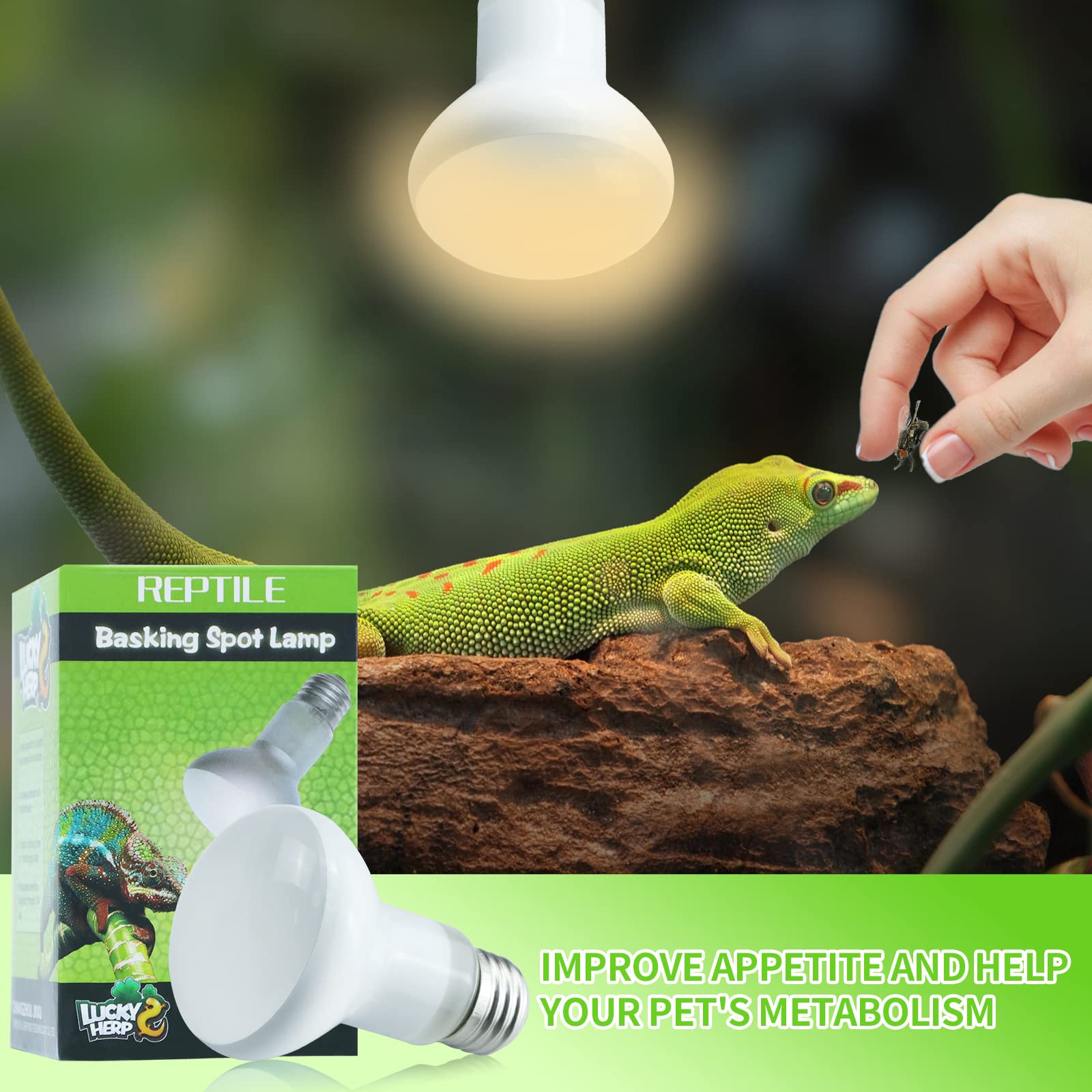 Lucky Herp E26 base 120V bulb ensures easy installation in tanks.