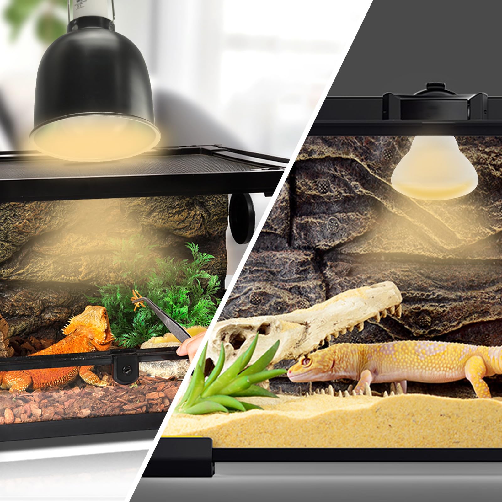 LUCKY HERP energy-efficient glass heats efficiently and lasts longer.