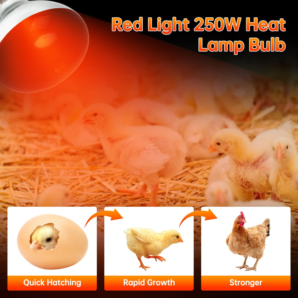 LUCKY HERP heat lamp in chicken coop providing reliable warmth for chicks.