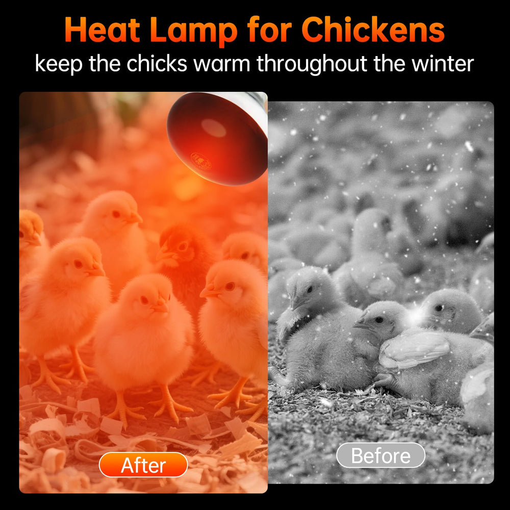 LUCKY HERP heat lamp with E26 base offers easy, secure installation.