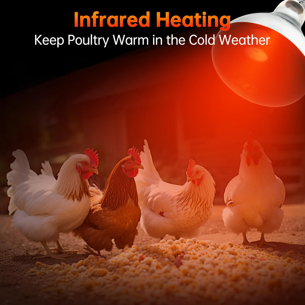 LUCKY HERP heat lamp suitable for reptiles like bearded dragons.