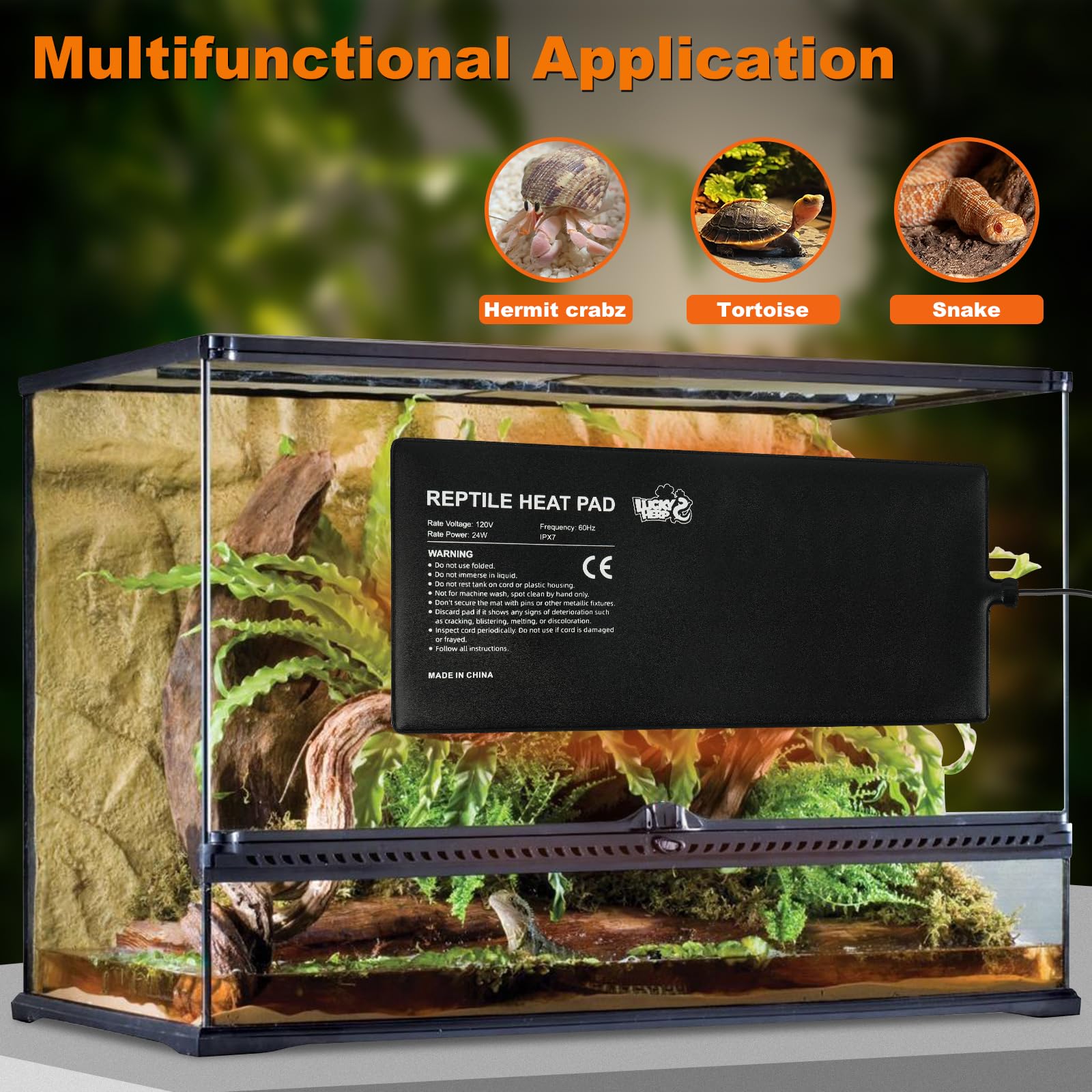LUCKY HERP heat pad on glass terrarium delivers steady warmth and quick setup.