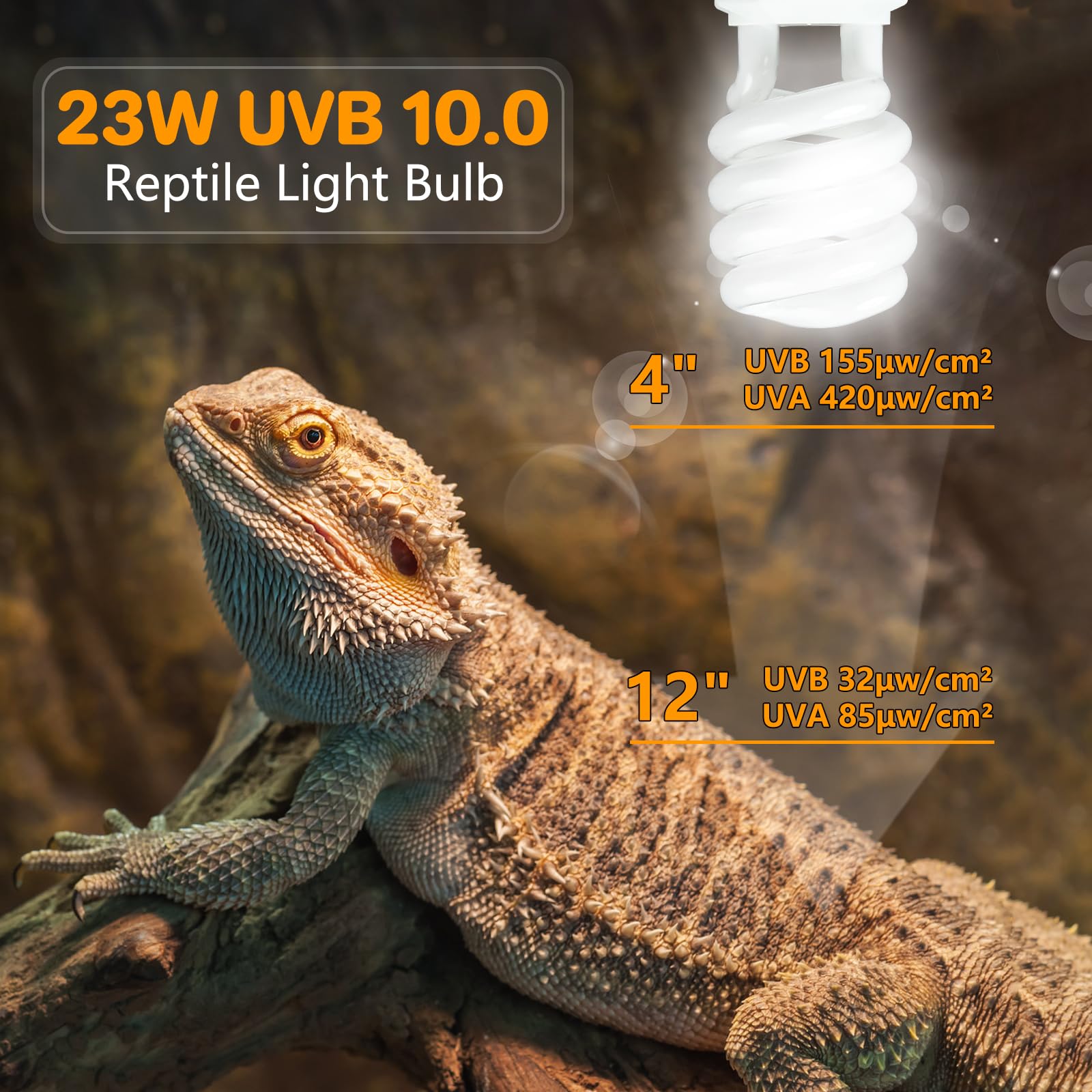 Lucky Herp high-CRI UVB light for vivid reptile colors under realistic illumination.