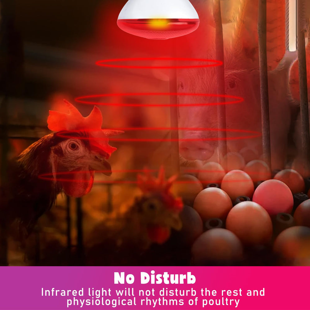 LUCKY HERP long-lasting infrared lamp ensures durable performance.