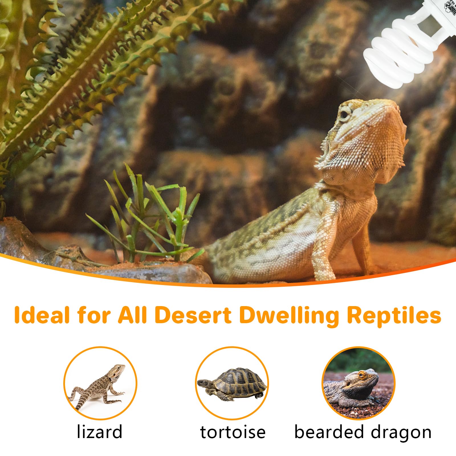 Lucky Herp long-lasting UVB bulb reducing replacements while maintaining stable output.