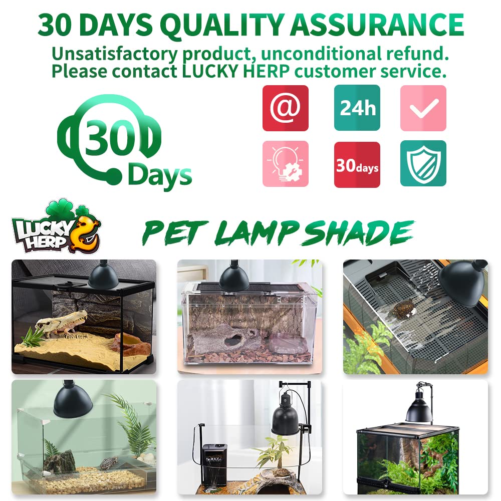 LUCKY HERP after-sales service offers prompt support and guidance.