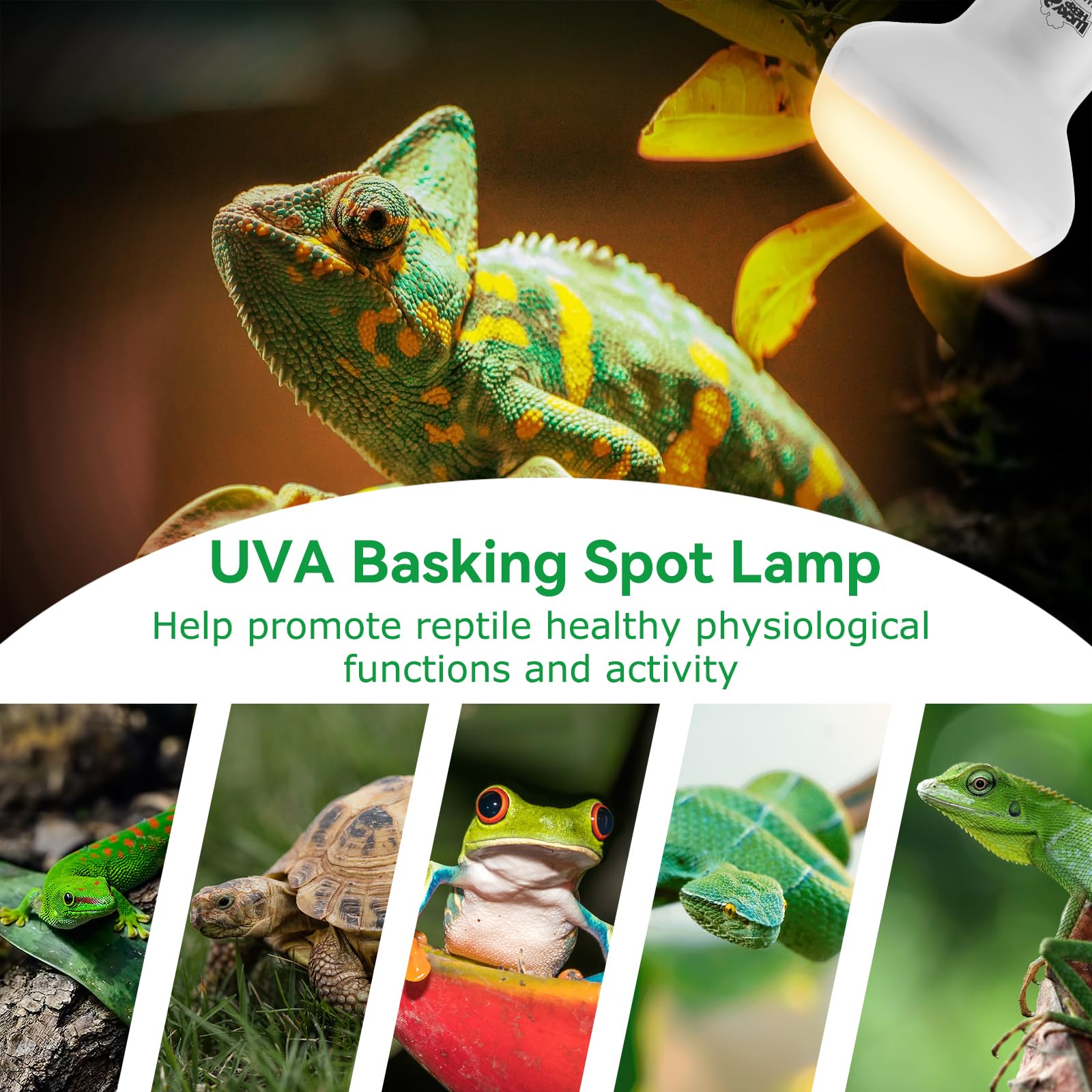 LUCKY HERP safe glare coating reduces eye irritation during sunbathing.