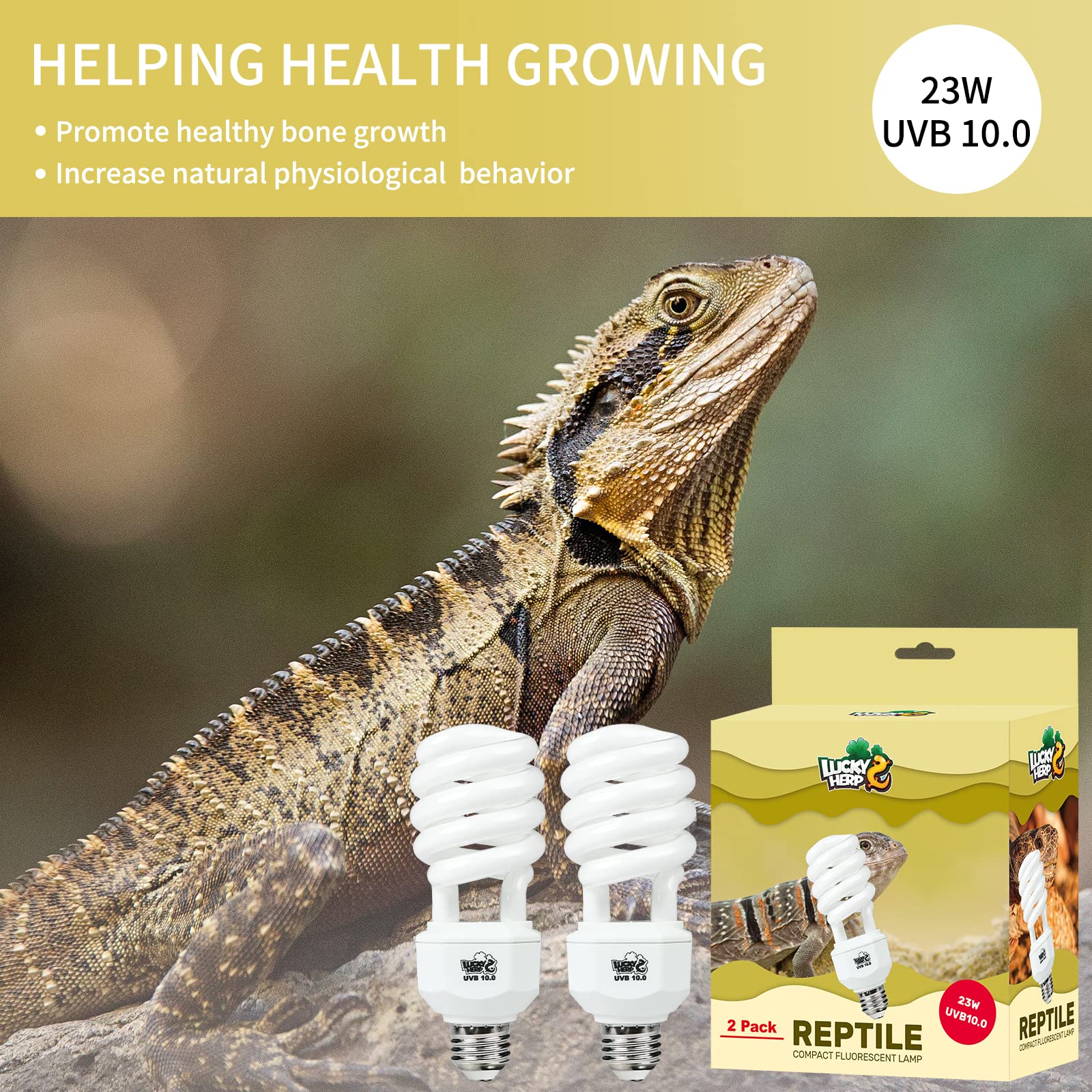 Lucky Herp setup demonstrating safe 30 cm distance from reptile.